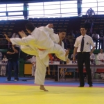 Foto ju jitsu